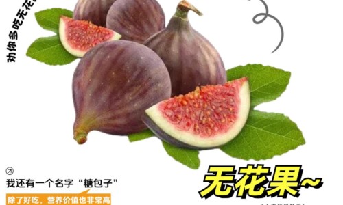 无花果煮水的功效