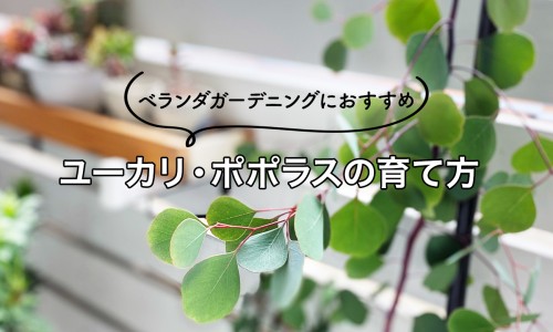 婴儿围栏可以用多久-婴儿围栏能用到多大,中国婴儿围栏关得住小孩吗网站
